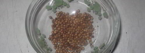 карельский черный хлеб. Шаг 5