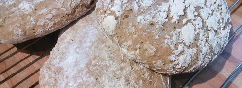 рогиатта — чиабатта на ржаной муке. Шаг 10