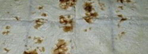 лаваш с консервой. Шаг 5