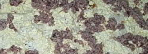 лаваш с консервой. Шаг 7