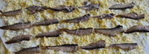 лаваш со шпротами. Шаг 4