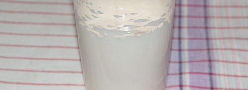 манник обыкновенный. Шаг 3