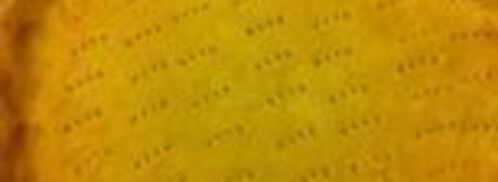 киш с индейкой, шпинатом и рикоттой. Шаг 4