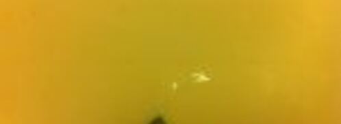 киш с индейкой, шпинатом и рикоттой. Шаг 8