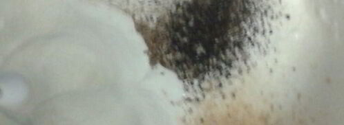 рыбный пирог на гречневых блинах. Шаг 5