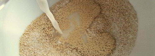 сырный пирог-рулет. Шаг 3