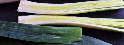 сырный пирог-рулет. Шаг 12