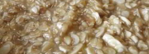 творожный пирог с хрустящей корочкой. Шаг 5