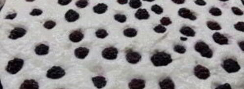 творожный пирог с хрустящей корочкой. Шаг 8