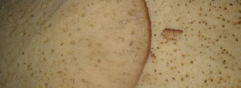 бисквитные пирожные белочка. Шаг 5