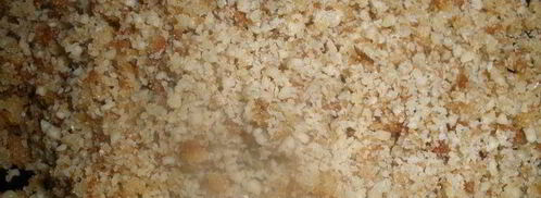 бисквитные пирожные белочка. Шаг 10