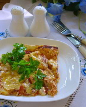 Пицца из бездрожжевого теста в духовке