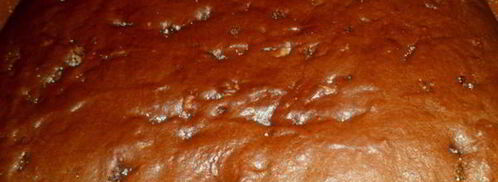 медовая коврижка. Шаг 9