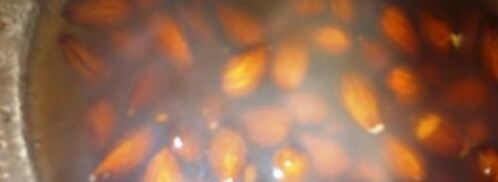 пряник из италии panpepato. Шаг 8