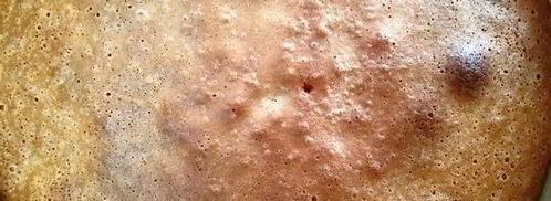 классическая шарлотка с яблоками и нектаринами. Шаг 9