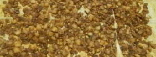 богатый штрудель из лаваша. Шаг 9