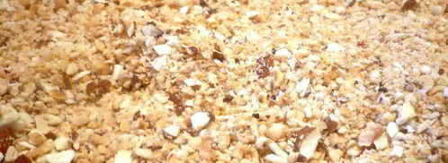 ореховый штрудель с миндальным соусом. Шаг 3