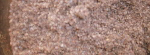 штрудель из творожного теста без яиц. Шаг 4