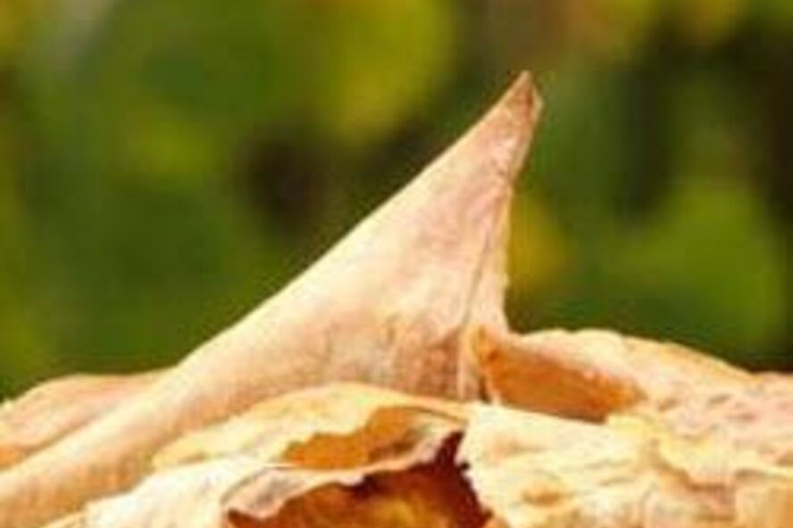 Рецепт слоеных конвертиков из фило с тыквой и фетой