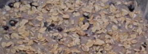 низкокалорийное тесто для пирога. Шаг 5