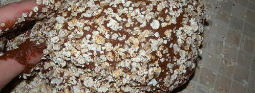 шоколадное тесто на дрожжах для выпечки. Шаг 8