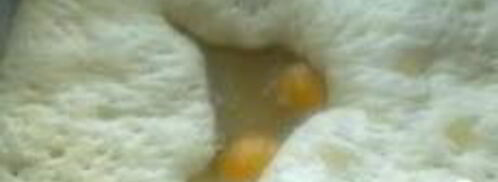 тесто для пирога с капустой. Шаг 3