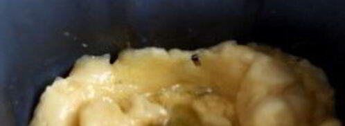 заварное тесто в хлебопечке. Шаг 5