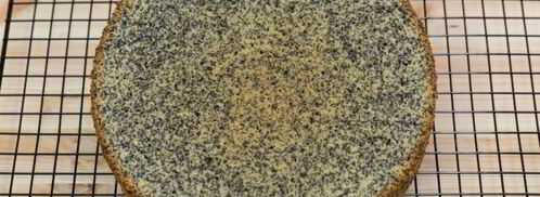 маковый торт с кремом из вареной сгущенки. Шаг 13