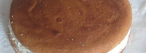 торт черепаха. Шаг 15