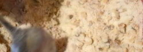 торт по-киевски. Шаг 3