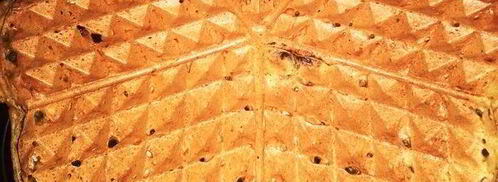 пряные свекольные вафли. Шаг 6