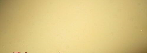 заварное пирожное с заварным кремом на белом шоколаде. Шаг 10