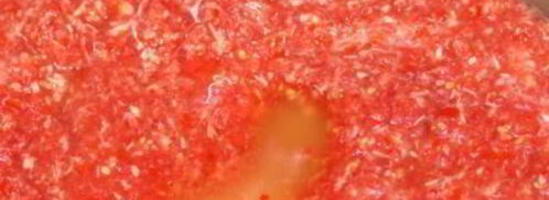 аджика по-сибирски жгучая. Шаг 4