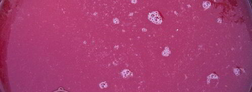 домашний томатный сок на зиму. Шаг 6