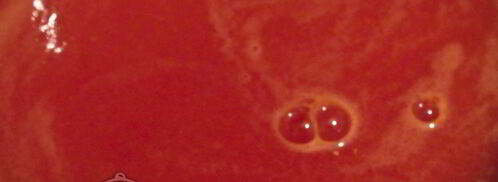 домашний томатный сок на зиму. Шаг 7