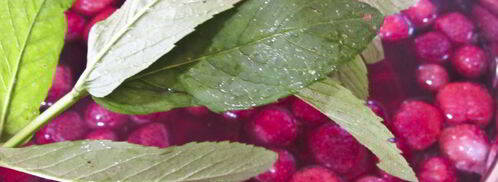 клубничный компот с мятой. Шаг 5