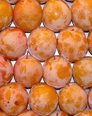 Компот из алычи на зиму