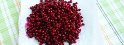 компот из брусники с яблоками на зиму. Шаг 5