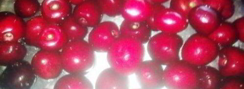компот из черешни. Шаг 3