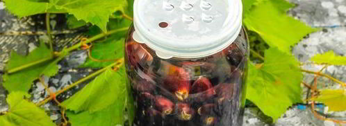 компот из черного винограда на зиму. Шаг 14