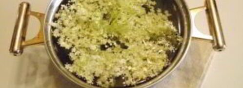 компот из цветков бузины. Шаг 5