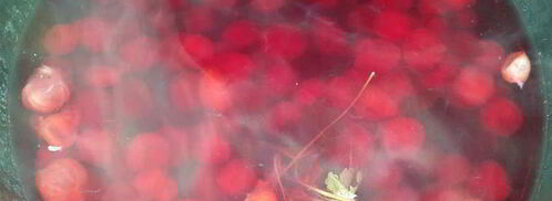 компот из вишни и крыжовника. Шаг 3