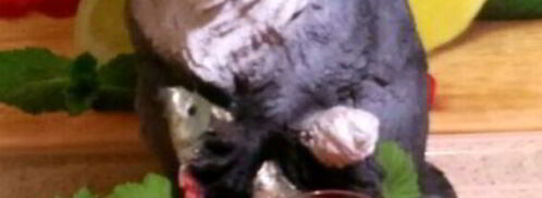 компот из замороженной смородины и малины. Шаг 6