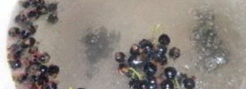 смородиновый компот. Шаг 6