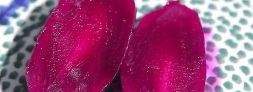 квашеная свекла. Шаг 6