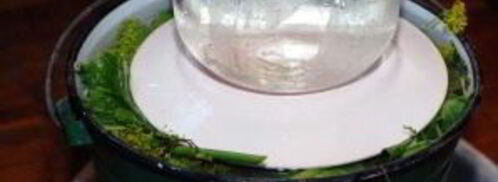 квашеные огурцы. Шаг 5