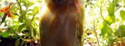 квашеные огурцы. Шаг 10