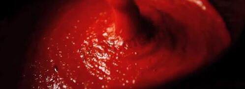 лютеница по-болгарски на зиму. Шаг 12