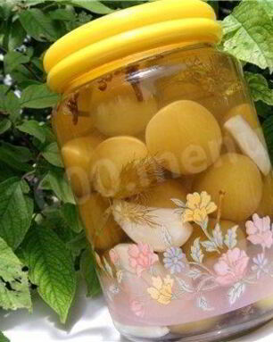 Маринованная алыча