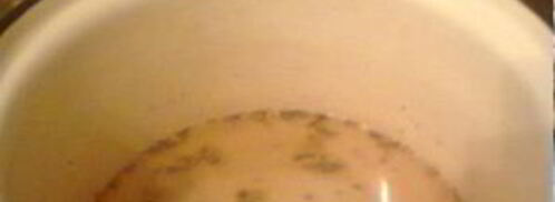 маринованная черемша на зиму. Шаг 3